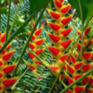 Meet your Posher, Sandra